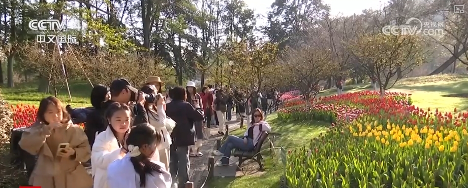 多核驱动赋能入境游 中高端市场释放多元潜力新葡京网上赌场“数字+文化+影视+生态”(图6)